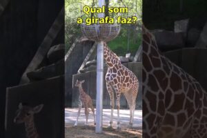 🔴 Qual é o som que uma Girafa faz? Descubra AGORA!