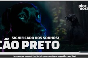 SIGNIFICADO DOS SONHOS • Significado de sonhar com cachorro preto, cão escuro ou negro e cão bravo